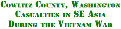 Vietnam Casualties in Vietnam